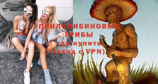 шишки Бородино
